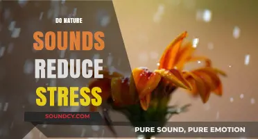 Nature's Symphony: How Natural Sounds Soothe Stress and Calm the Mind