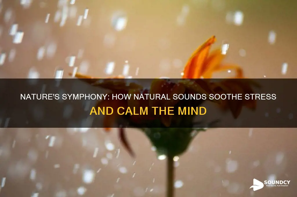 do nature sounds reduce stress