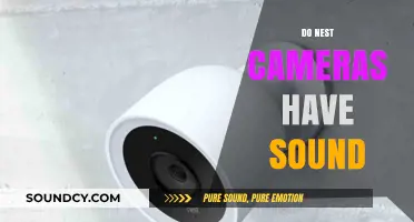 Do Nest Cameras Have Sound? Exploring Audio Features and Capabilities