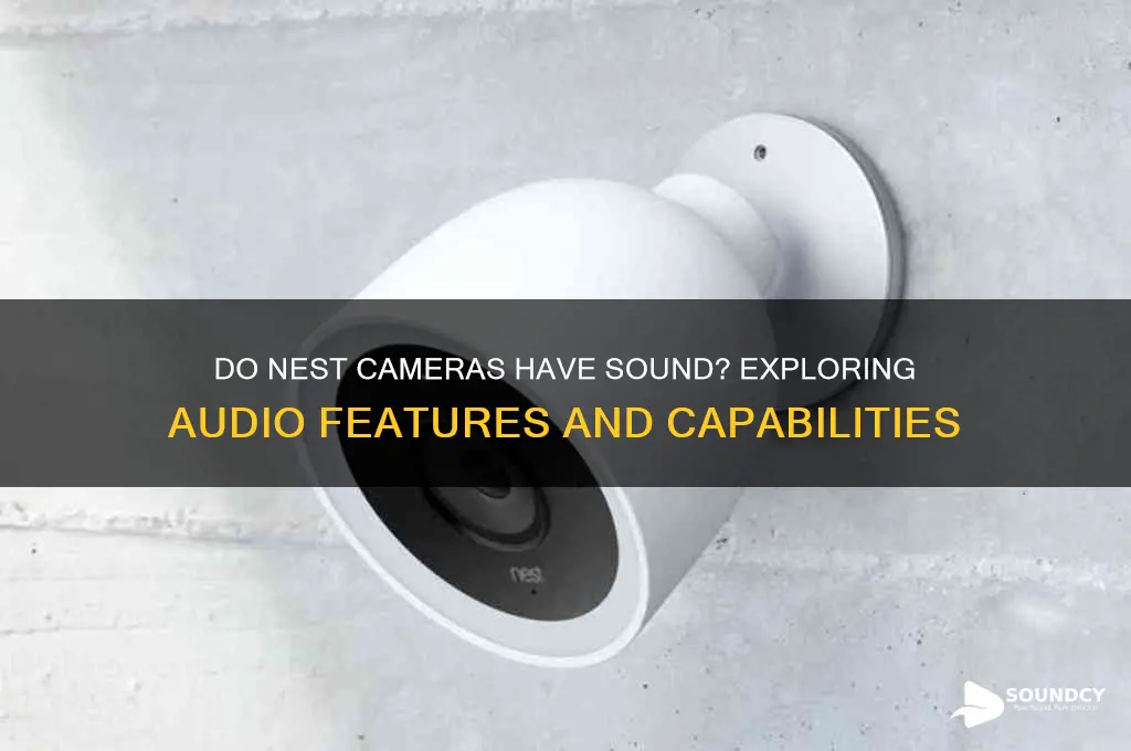 do nest cameras have sound