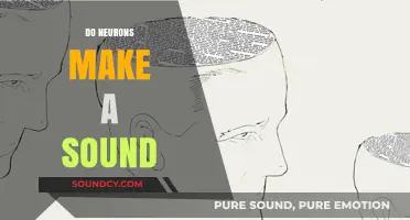 Do Neurons Make a Sound? Exploring the Audible Mysteries of Brain Activity