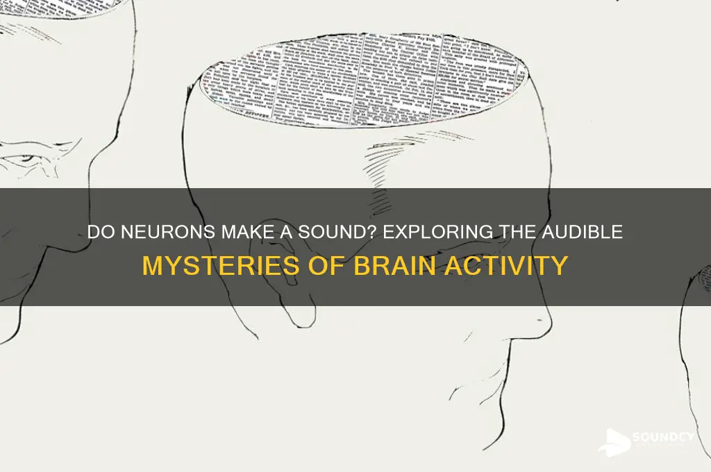 do neurons make a sound