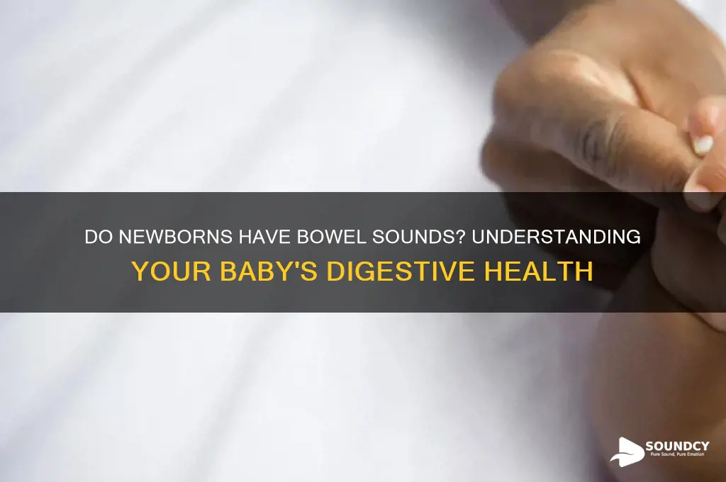 do newborns have bowel sounds