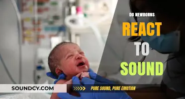 Newborns and Sound: Unveiling Their Early Auditory Responses and Reactions