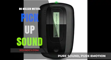 Nielsen Meters: Do They Listen In?
