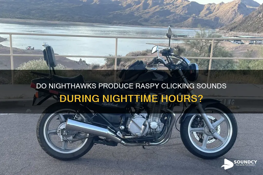 do nighthawks make a raspy clicking sound at night