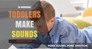 Do Nonverbal Toddlers Make Sounds? Exploring Communication Beyond Words
