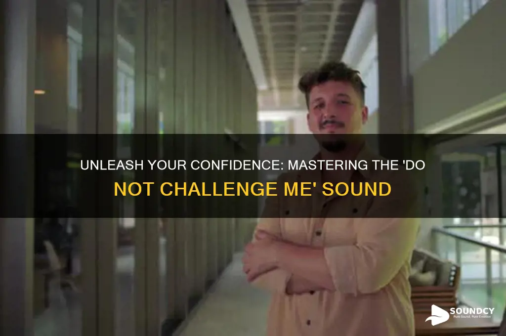 do not challenge me sound