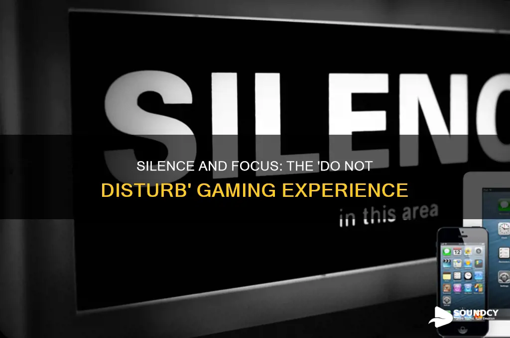 do not disturb game no sound