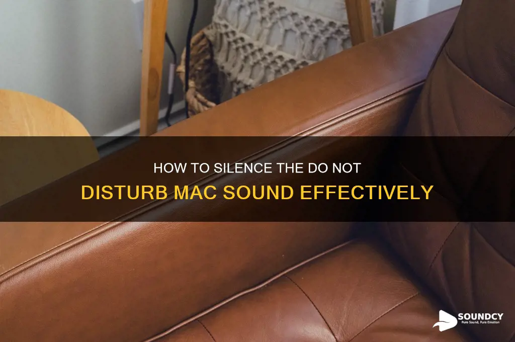 do not disturb mac sound