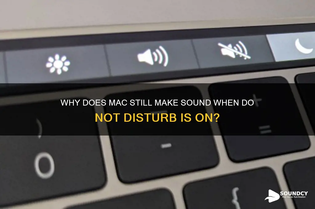 do not disturb on but still makes sound mac