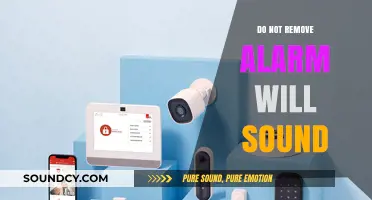 Alarm Will Sound: A Security Feature or Nuisance?