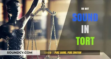 Understanding the Legal Principle: Why Some Actions Do Not Sound in Tort