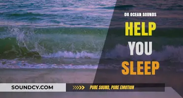 Ocean Sounds: A Natural Sleep Aid?