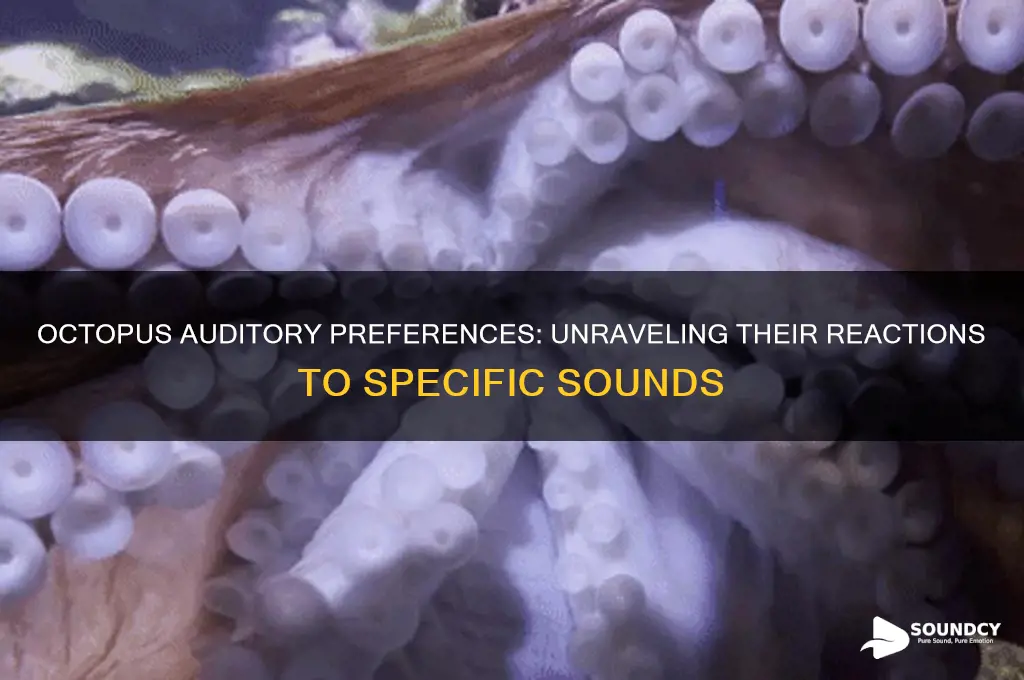 do octopuses hate certain sounds