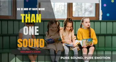 Exploring the Versatility of 'OI' and 'OY' Sounds in English
