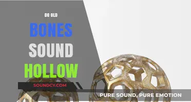 Do Old Bones Sound Hollow? Unveiling the Truth Behind the Myth