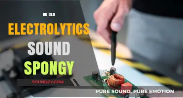 Do Aging Electrolytic Capacitors Produce a Spongy Sound?