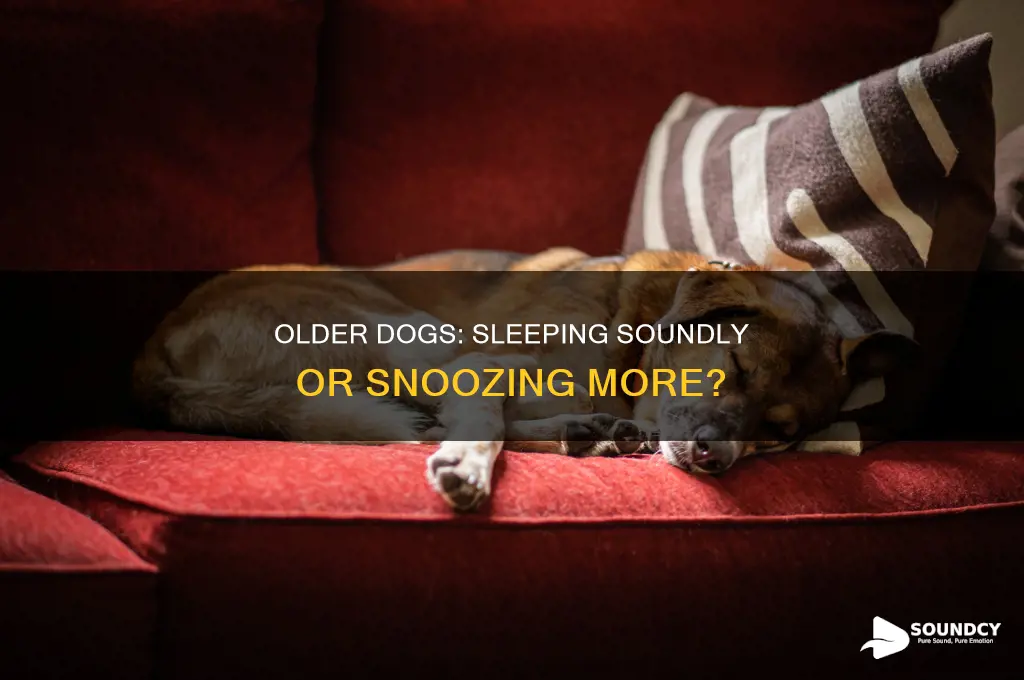 do older dogs sleep more soundly