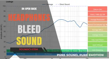 Open-Back Headphones: Do They Leak Sound?