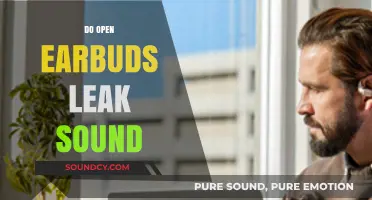 Do Open Earbuds Leak Sound? Exploring Audio Privacy Concerns