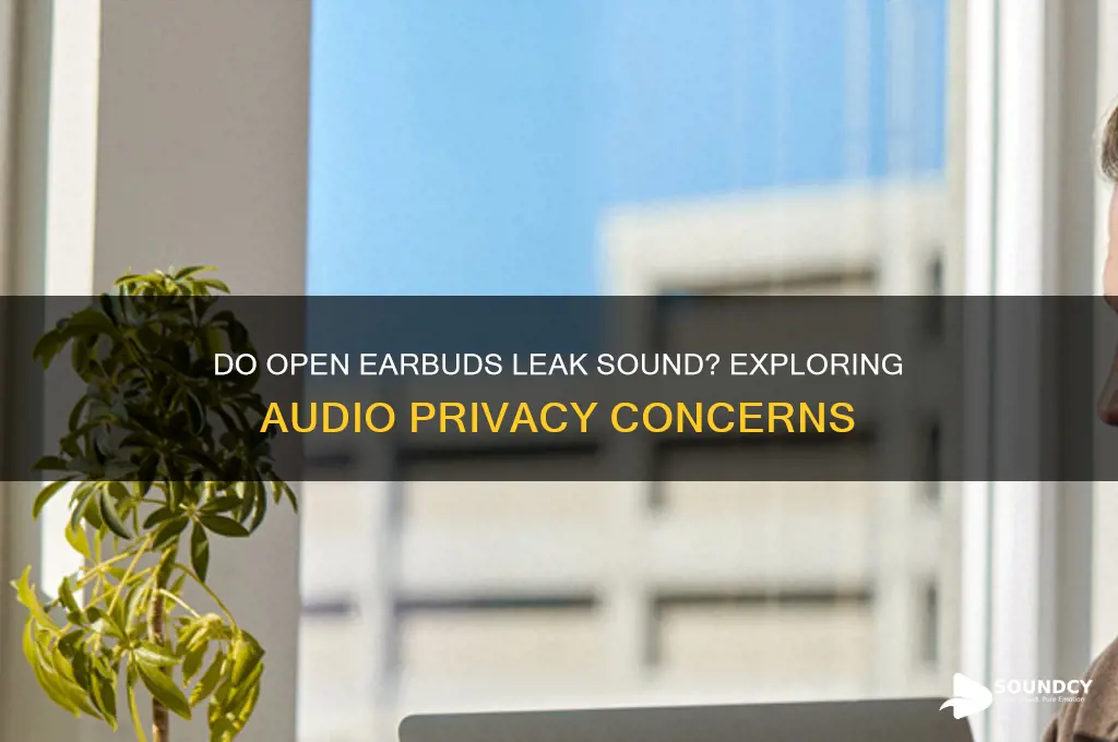 do open earbuds leak sound