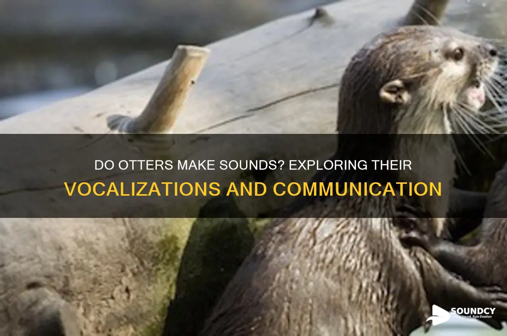 do otters make a sound