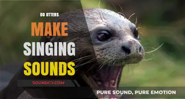 Do Otters Sing? Uncovering the Musical Sounds of Otters