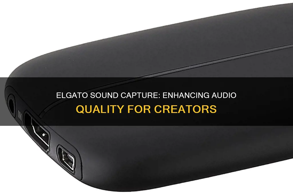do ou nedd elgato sound capture