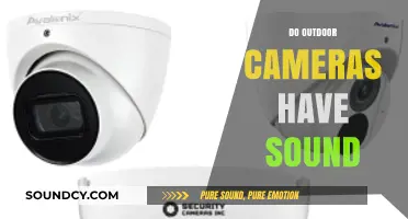 Do Outdoor Cameras Have Sound? Exploring Audio Features in Surveillance