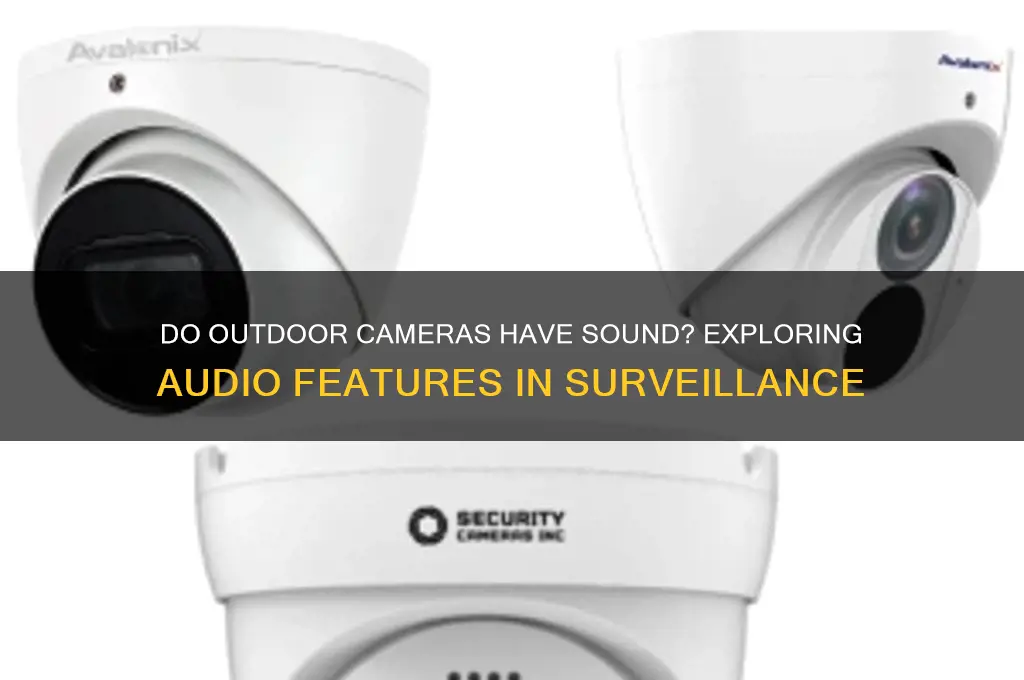 do outdoor cameras have sound