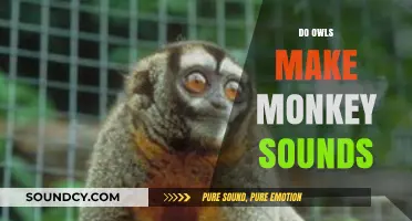 Unusual Owl Calls: Do They Mimic Monkey Sounds in the Wild?