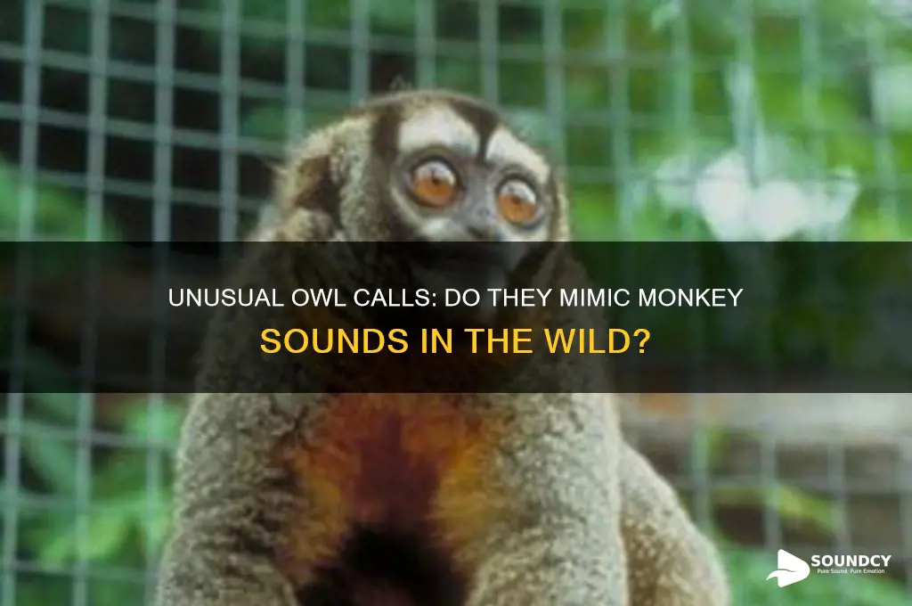 do owls make monkey sounds