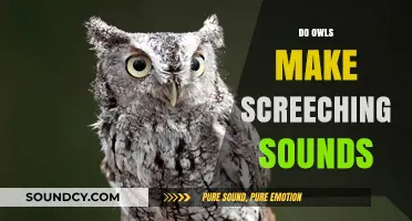 Do Owls Screech? Unraveling the Mystery of Their Iconic Sounds
