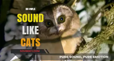 Do Owls Mimic Cats? Unraveling the Mystery of Their Sounds