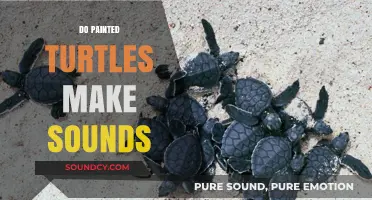 Do Painted Turtles Make Sounds? Unveiling Their Unique Communication Methods