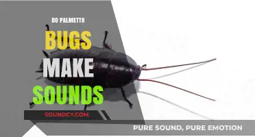Do Palmetto Bugs Make Sounds? Uncovering the Truth About Their Noises