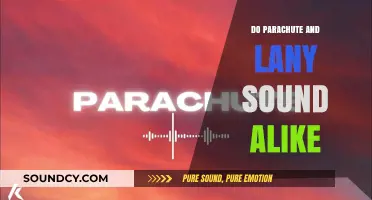 Parachute and Lany: Similarities in Sound