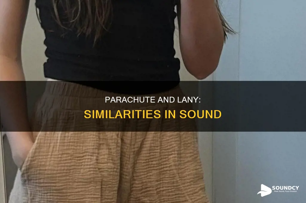 do parachute and lany sound alike