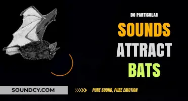 Do Specific Sounds Attract Bats? Unveiling the Sonic Secrets of Bat Behavior