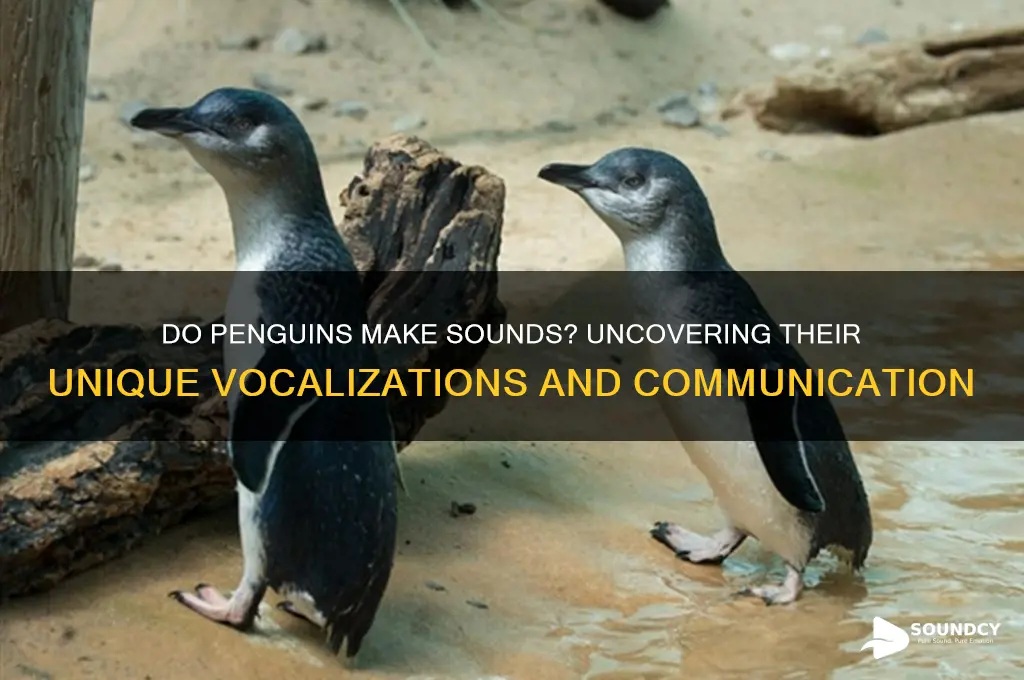 do penguins make a sound