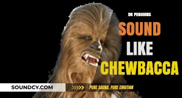 Do Penguins Sound Like Chewbacca? Unraveling the Wookiee-Like Calls