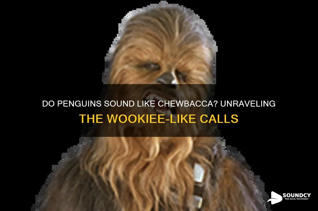 do penguins sound like chewbacca