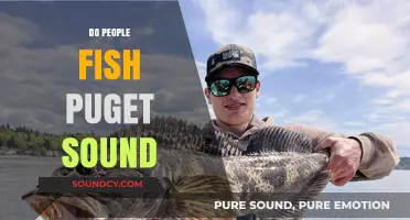 Fishing in Puget Sound: A Popular Activity for Locals and Tourists