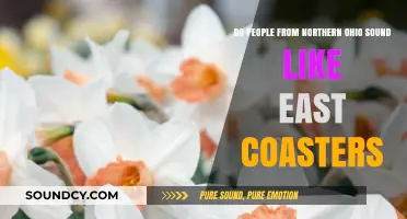 Northern Ohio Accent: East Coast Influence or Midwest Unique?
