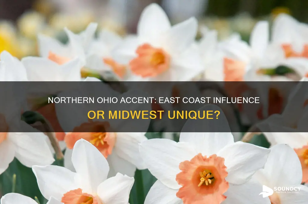 do people from northern ohio sound like east coasters