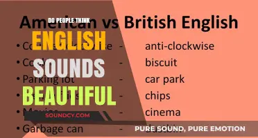 English: A Beautiful Language?