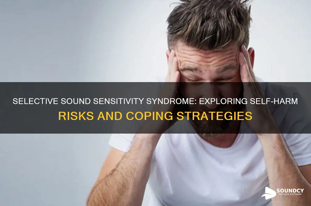 do people with selective sound sensitivity syndrome self harm