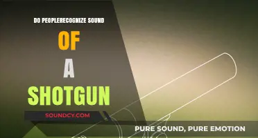 How Shotguns Sound: Recognizable or Not?