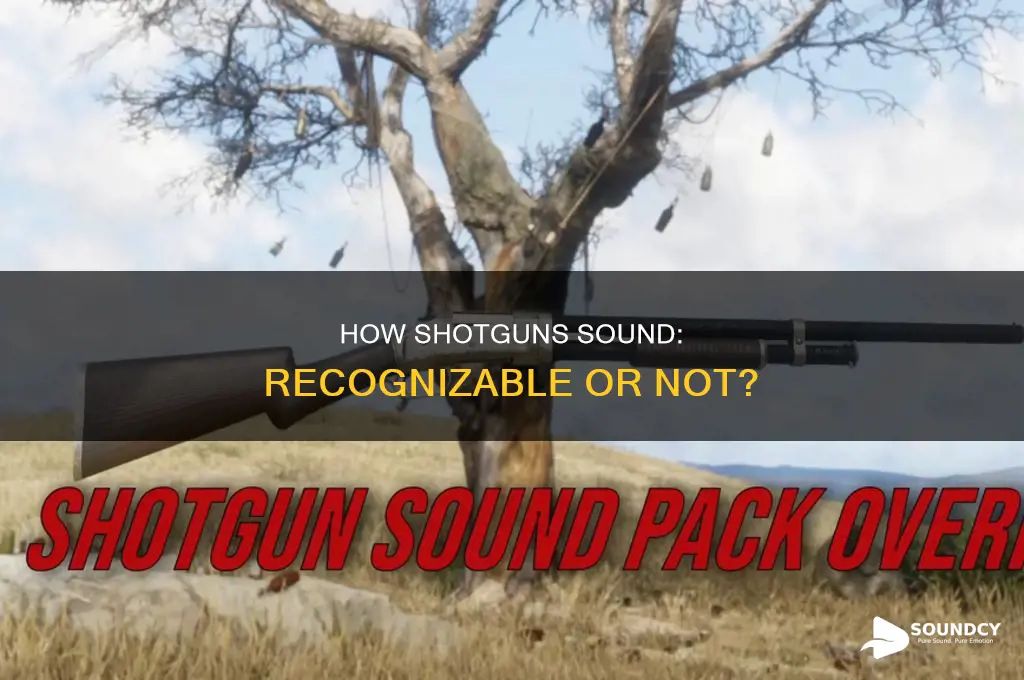 do peoplerecognize sound of a shotgun
